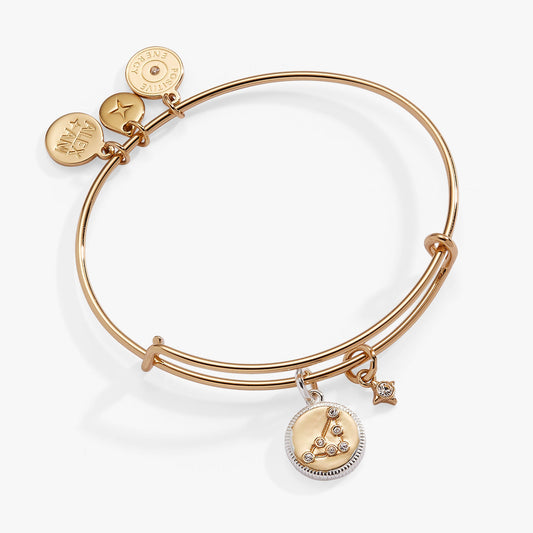 Alex and Ani Capricorn Zodiac Charm Bangle
