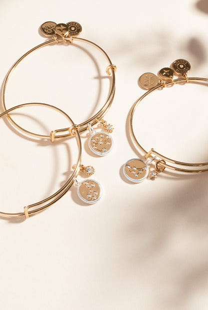 Alex and Ani Capricorn Zodiac Charm Bangle