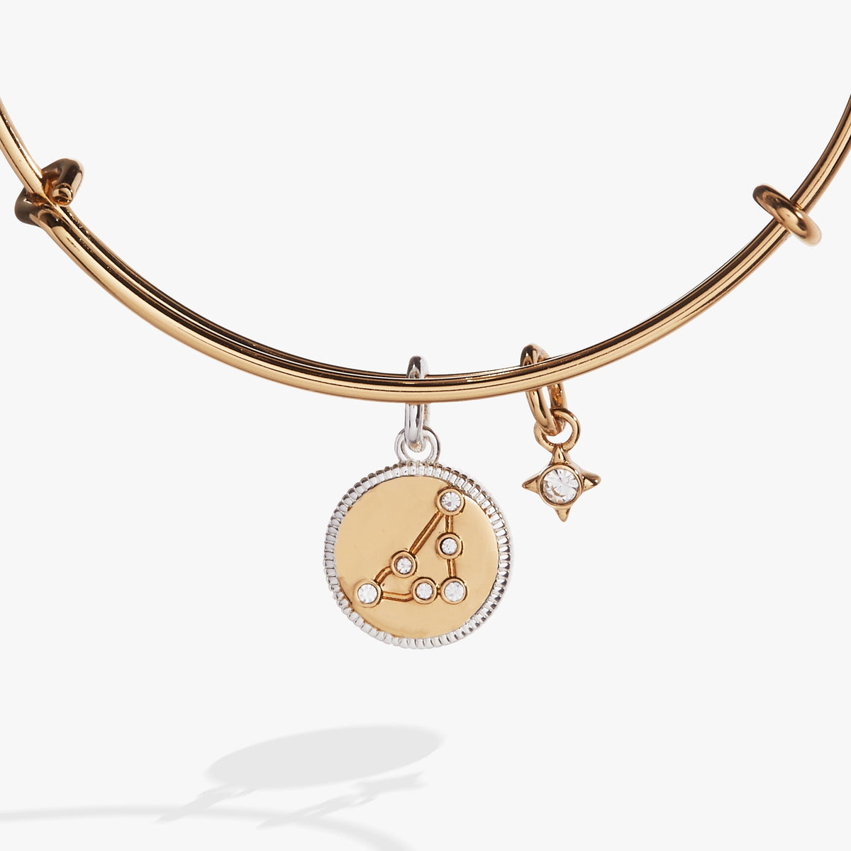Alex and Ani Capricorn Zodiac Charm Bangle