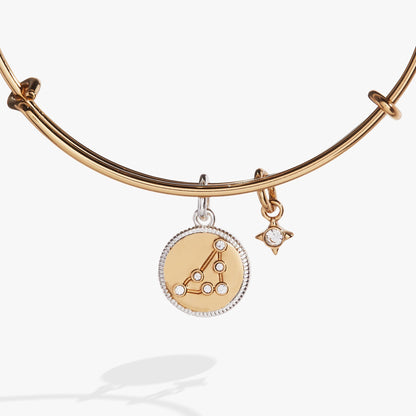 Alex and Ani Capricorn Zodiac Charm Bangle