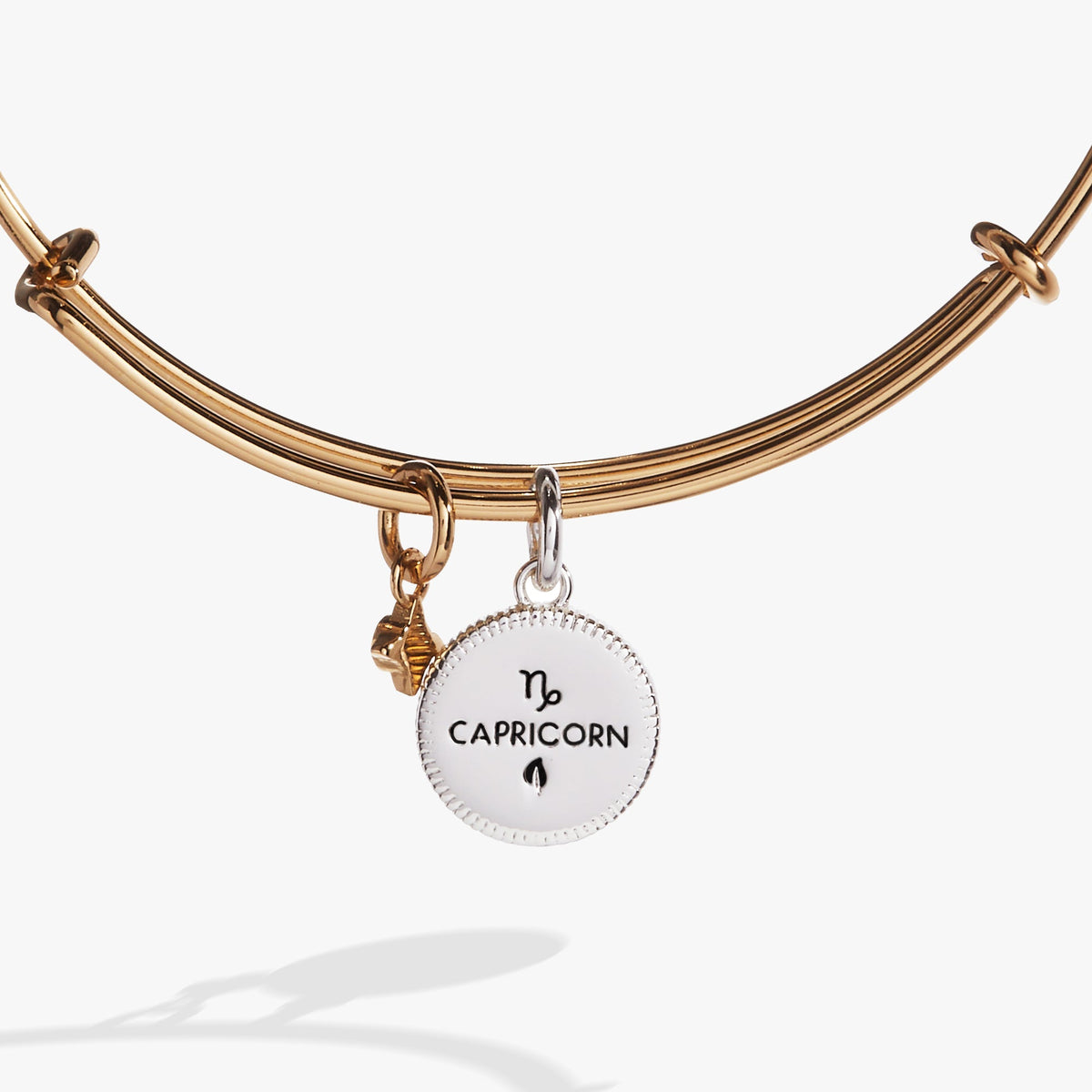 Alex and Ani Capricorn Zodiac Charm Bangle