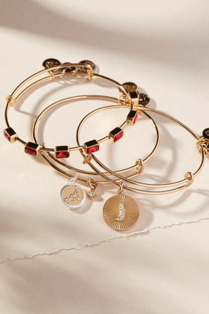 Alex and Ani Capricorn Zodiac Charm Bangle