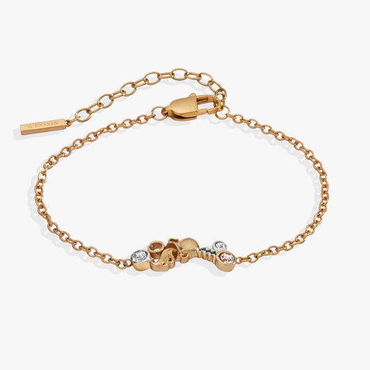 Alex and Ani Aquarius Symbol Inline Bracelet