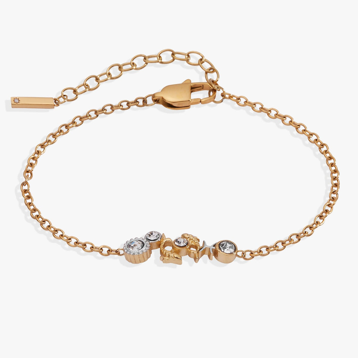 Alex and Ani Pisces Symbol Inline Bracelet