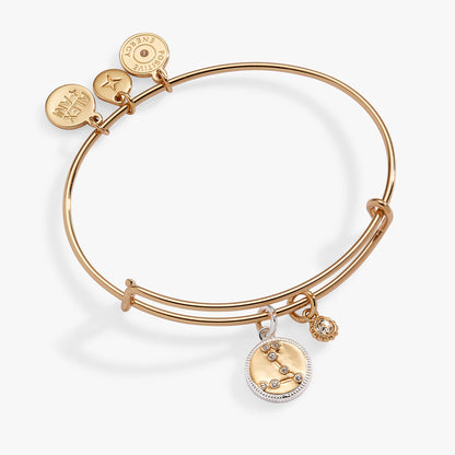 Alex and Ani Pisces Zodiac Charm Bangle