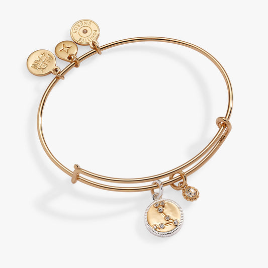 Alex and Ani Pisces Zodiac Charm Bangle