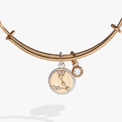 Alex and Ani Pisces Zodiac Charm Bangle