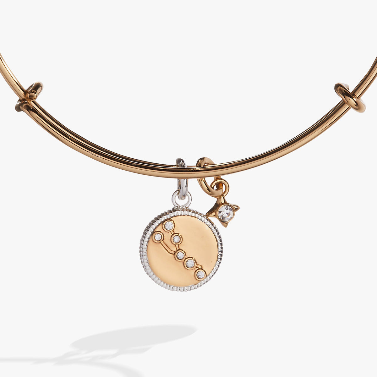 Alex and Ani Taurus Zodiac Charm Bangle