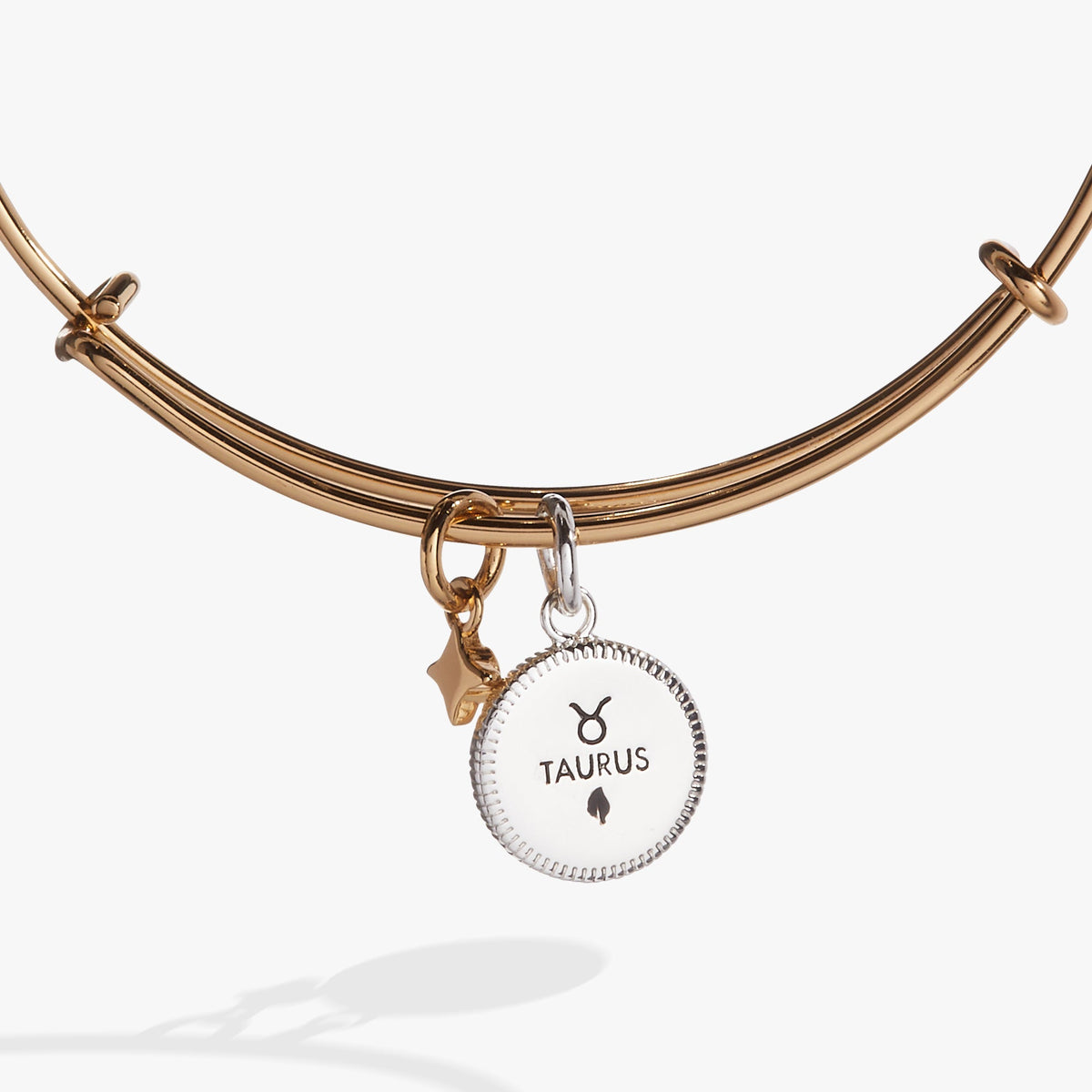 Alex and Ani Taurus Zodiac Charm Bangle