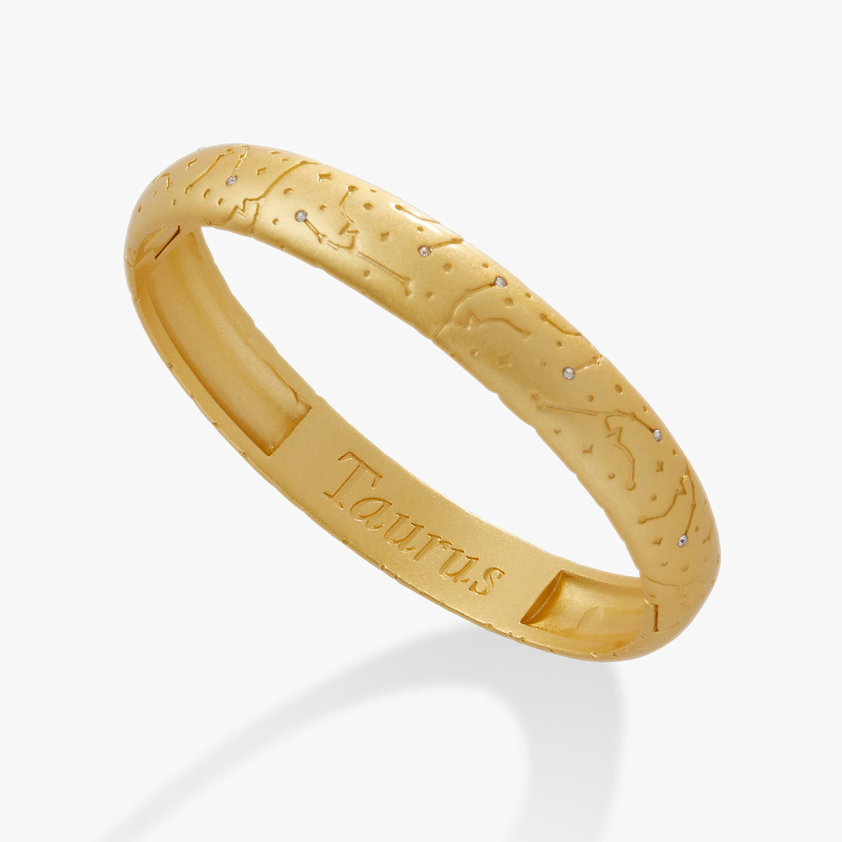 Alex and Ani Taurus Zodiac Hinge Bangle