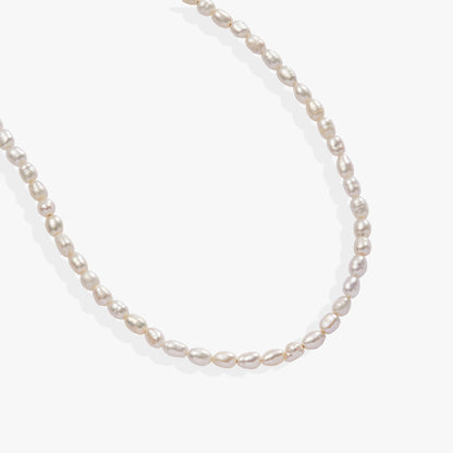 Alex and Ani Freshwater Pearl Necklace