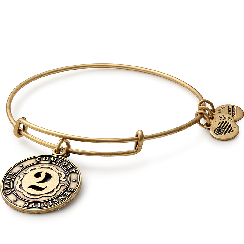 Alex and Ani Number 2 Charm Bangle Bracelet
