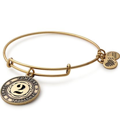 Alex and Ani Number 2 Charm Bangle Bracelet