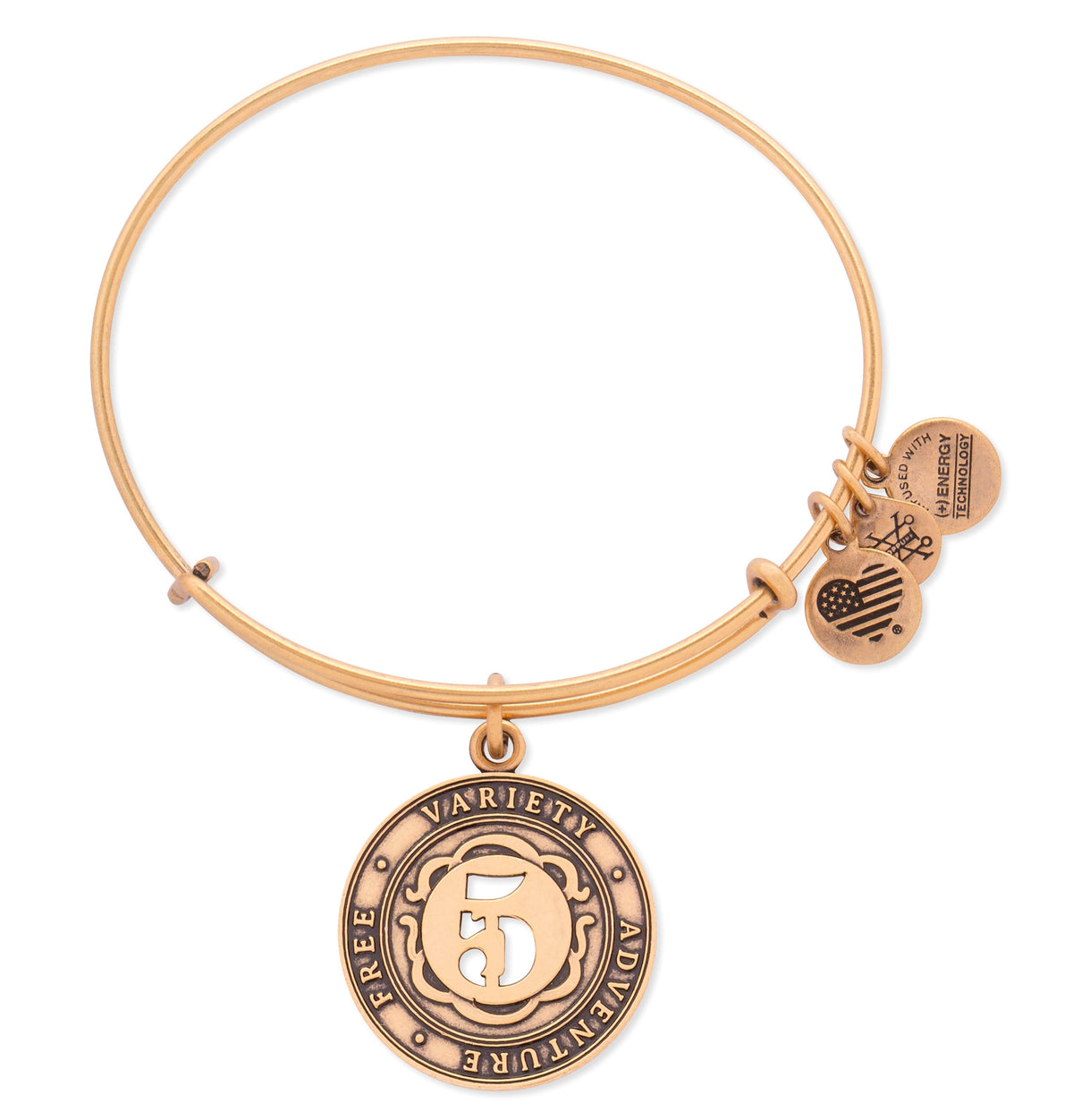 Alex and Ani Number 5 Charm Bangle Bracelet