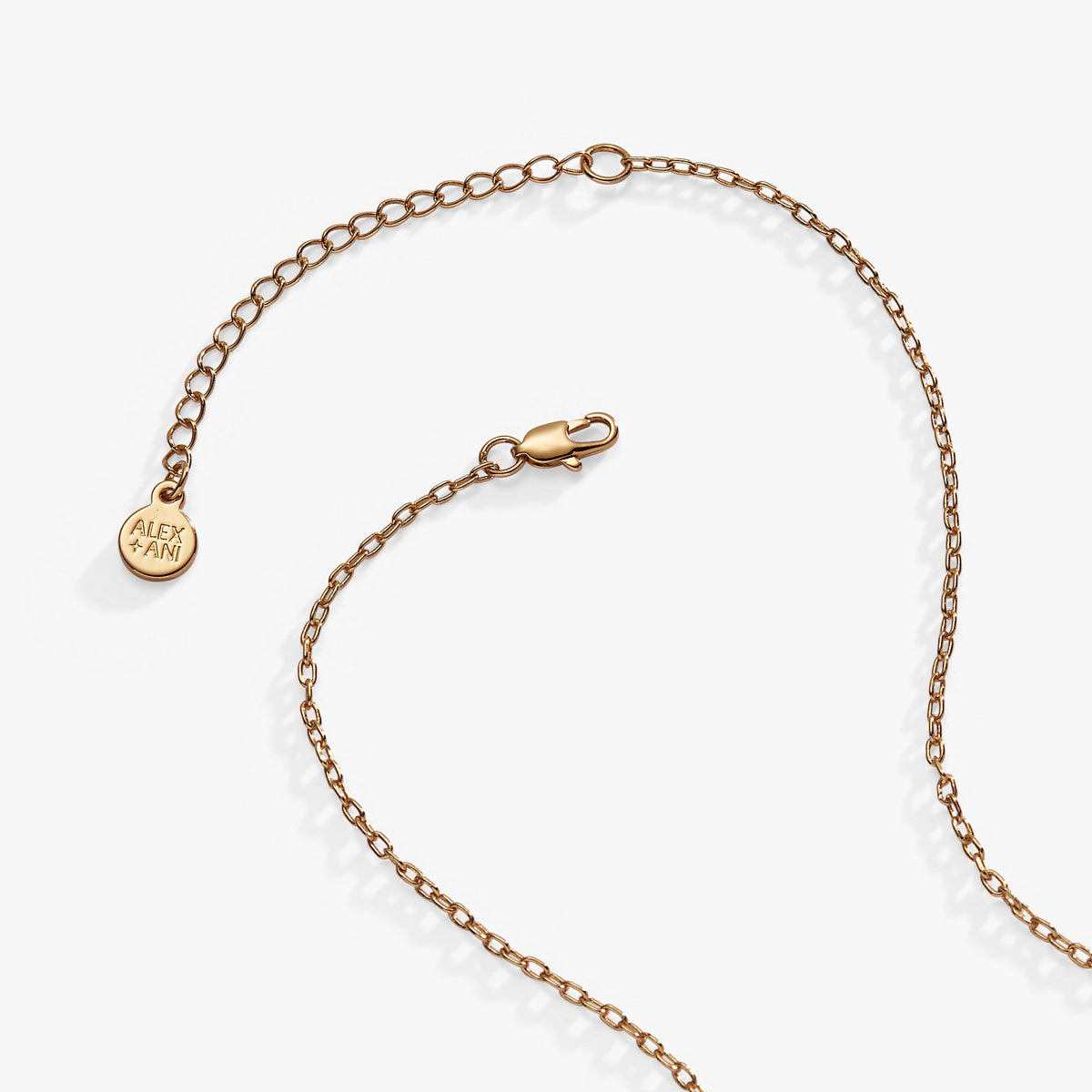 Alex and Ani Howdy Necklace