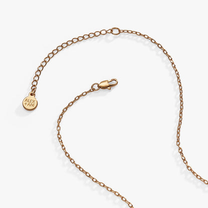 Alex and Ani Howdy Necklace
