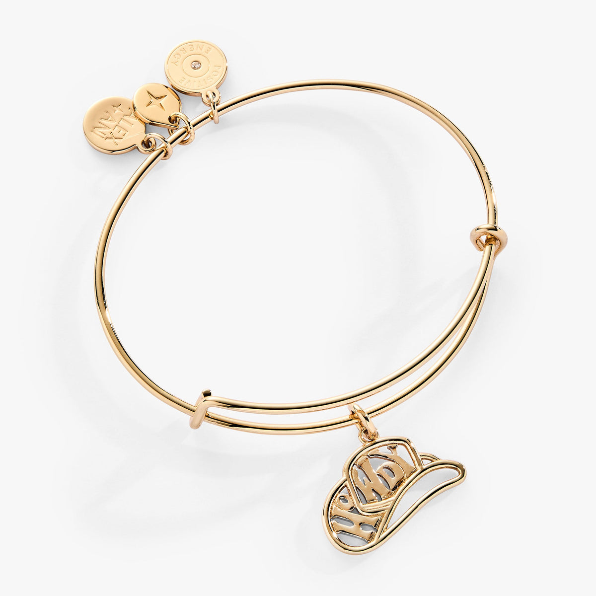 Alex and Ani Howdy Charm Bangle