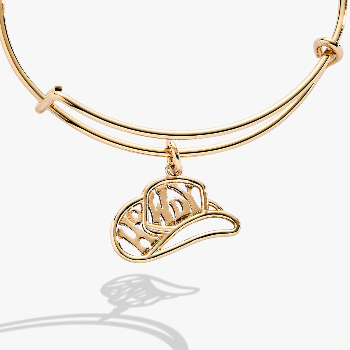Alex and Ani Howdy Charm Bangle