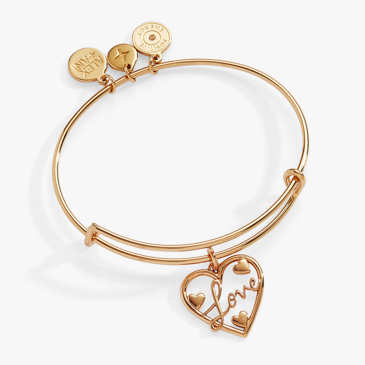 Alex and Ani Love Bangle