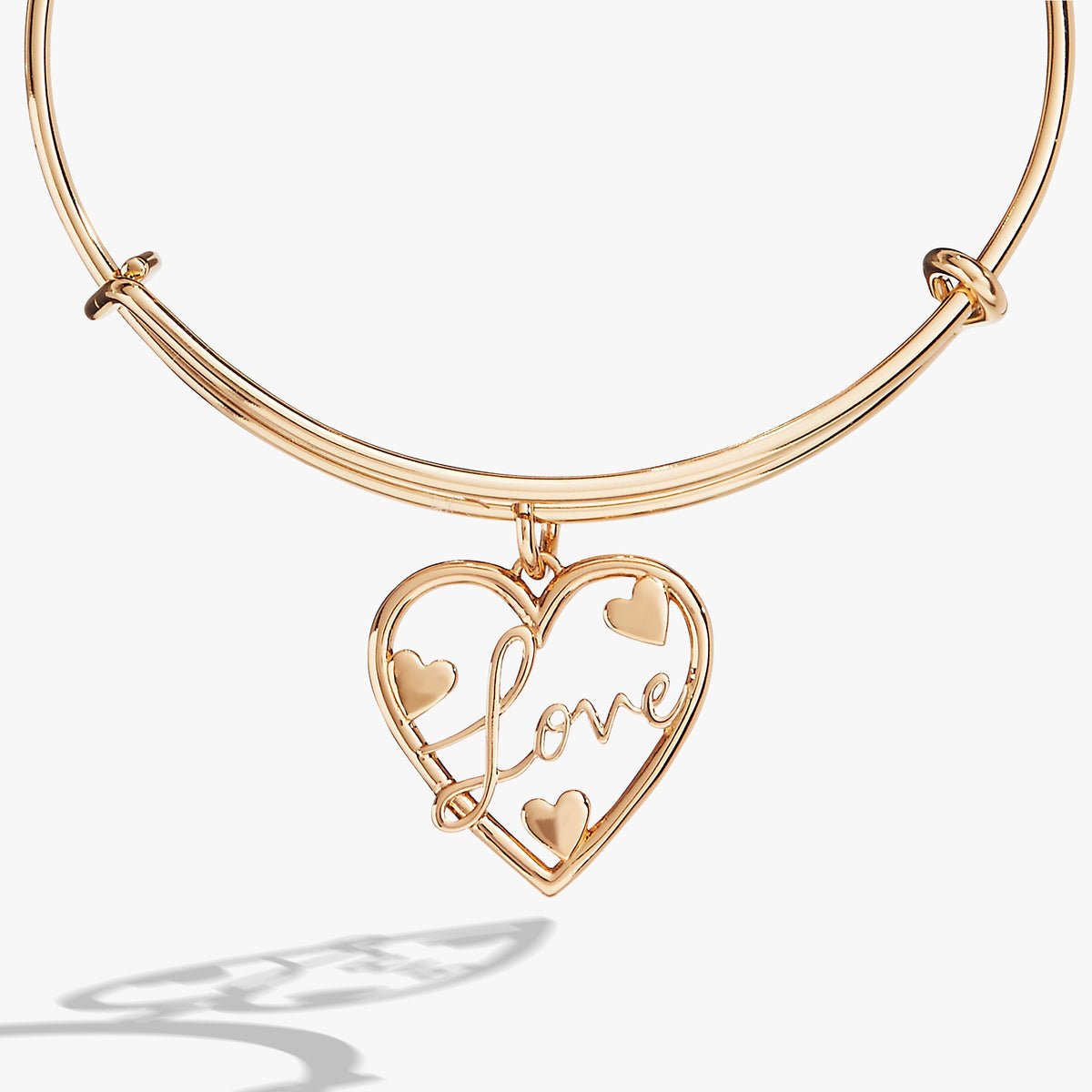 Alex and Ani Love Bangle