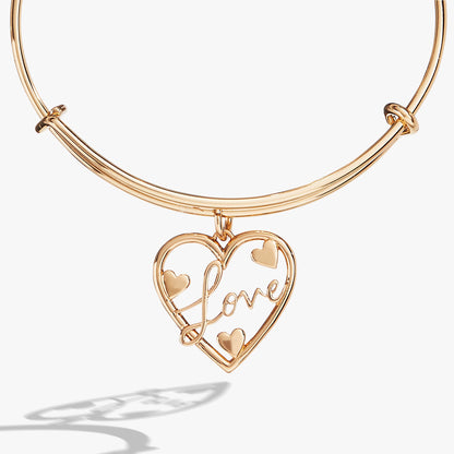 Alex and Ani Love Bangle