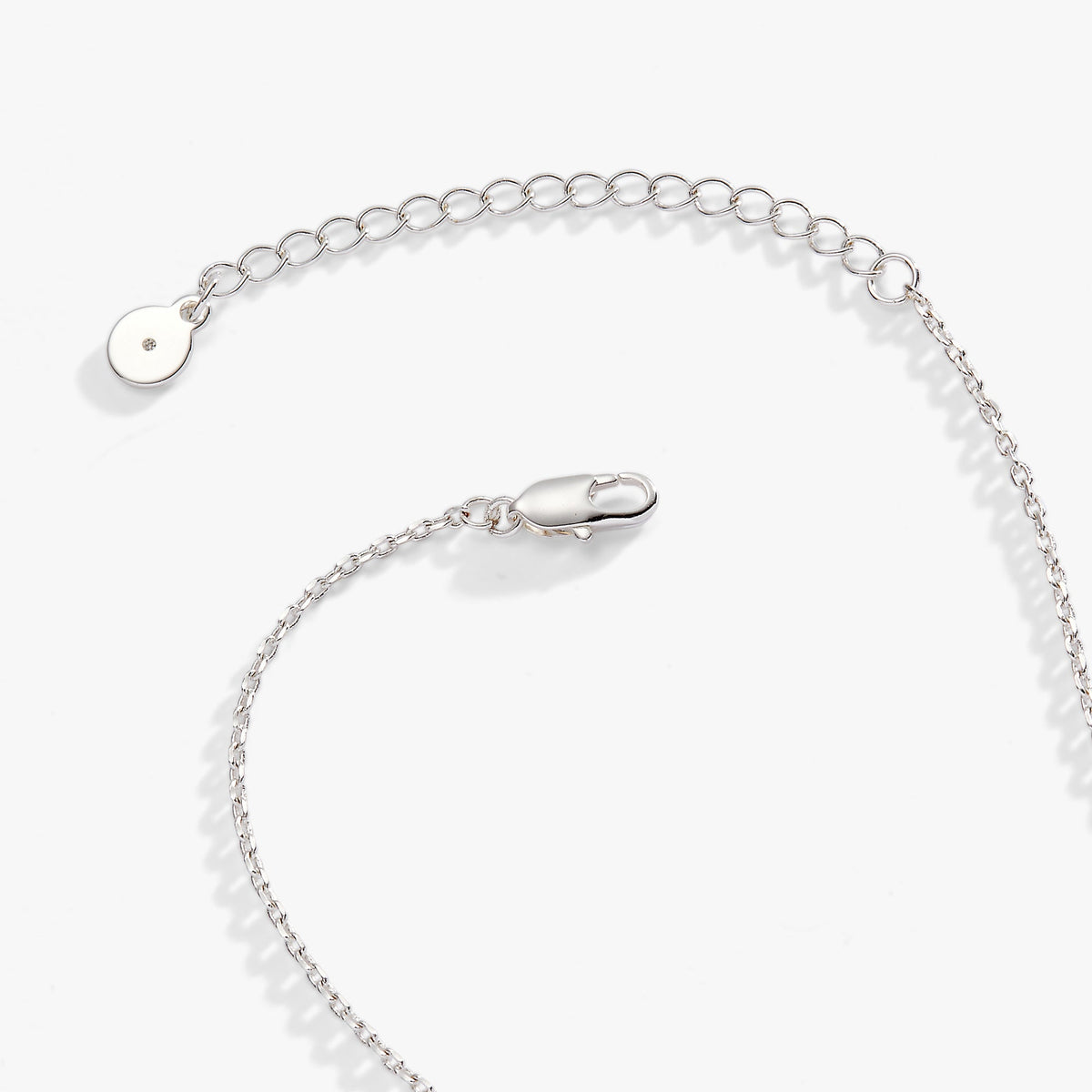 Alex and Ani Crystal Heart Slider Necklace
