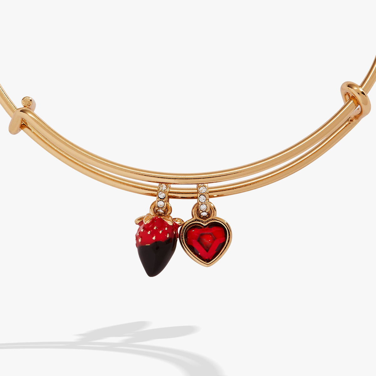 Alex and Ani Chocolate-Covered Strawberry Duo Charm Bangle