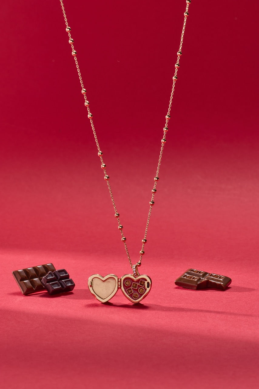 Alex and Ani Box of Chocolate Locket Necklace