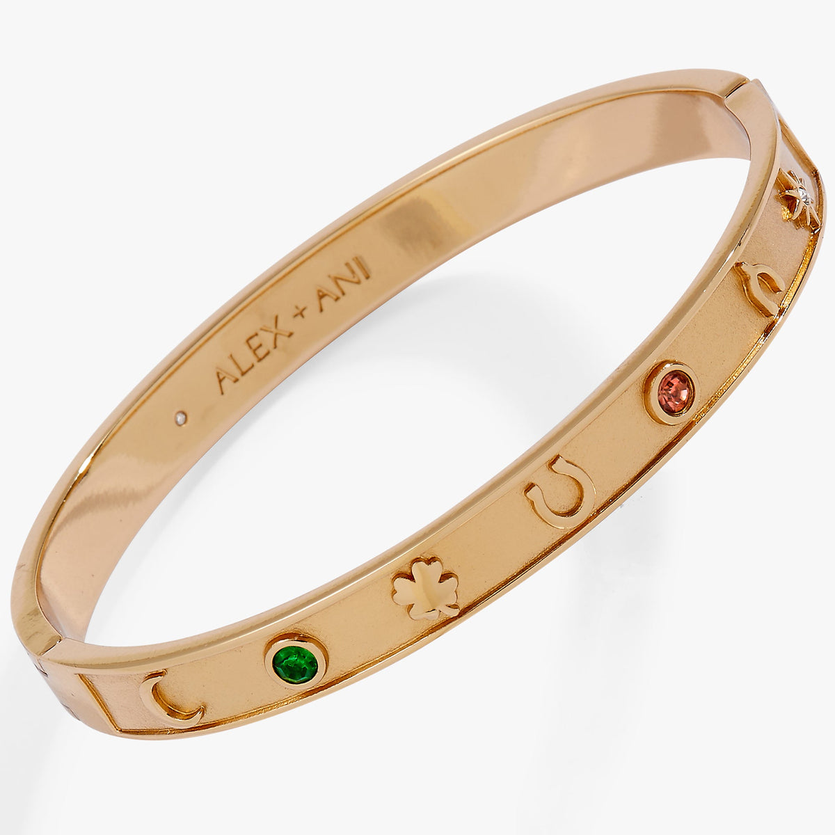 Alex and Ani Lucky Hinge Bangle