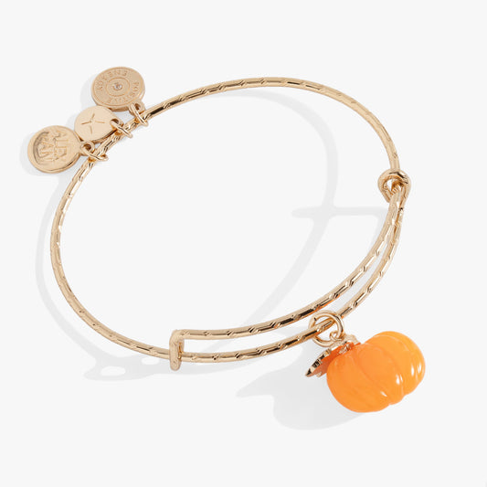 Alex and Ani Pumpkin Textured Bangle