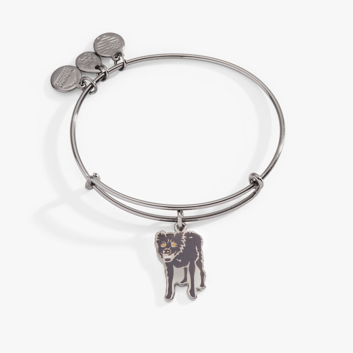Alex and Ani Harry Potter™ Sirius Black Charm Bangle Bracelet