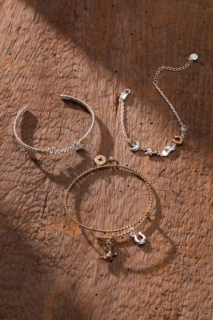 Alex and Ani Horseshoe Charm