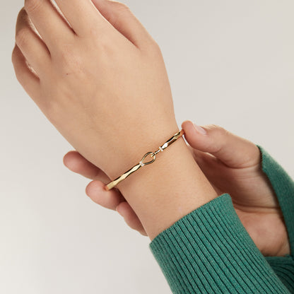 Alex and Ani Faceted Hook Tension Bracelet