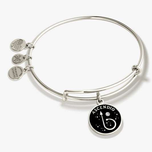 Alex and Ani Harry Potter™ 'Ascendio' Charm Bangle Bracelet