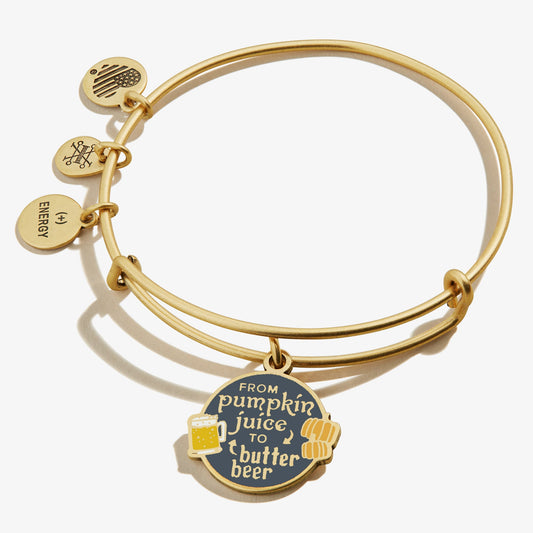 Alex and Ani Harry Potter™ 'From Pumpkin Juice to Butter Beer' Charm Bangle Bracelet