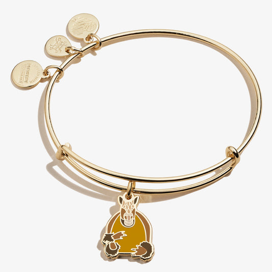 Alex and Ani Friends Holiday Armadillo Charm Bangle - Alex and Ani