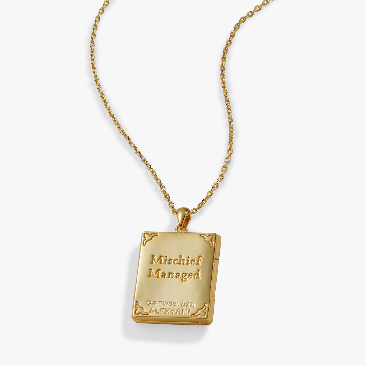 Alex and Ani Harry Potter™ Mischief Managed Locket Necklace