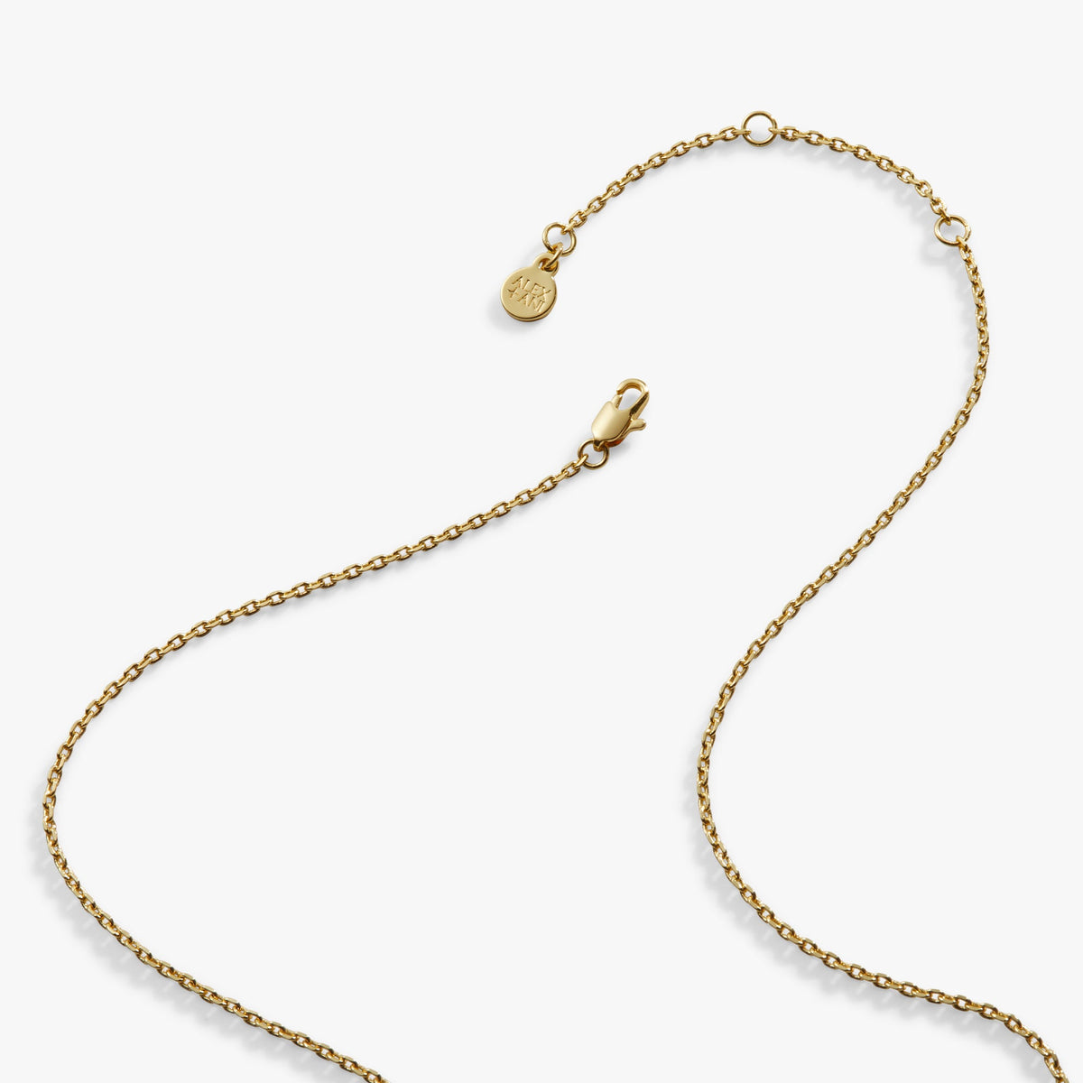 Alex and Ani Harry Potter™ Mischief Managed Locket Necklace