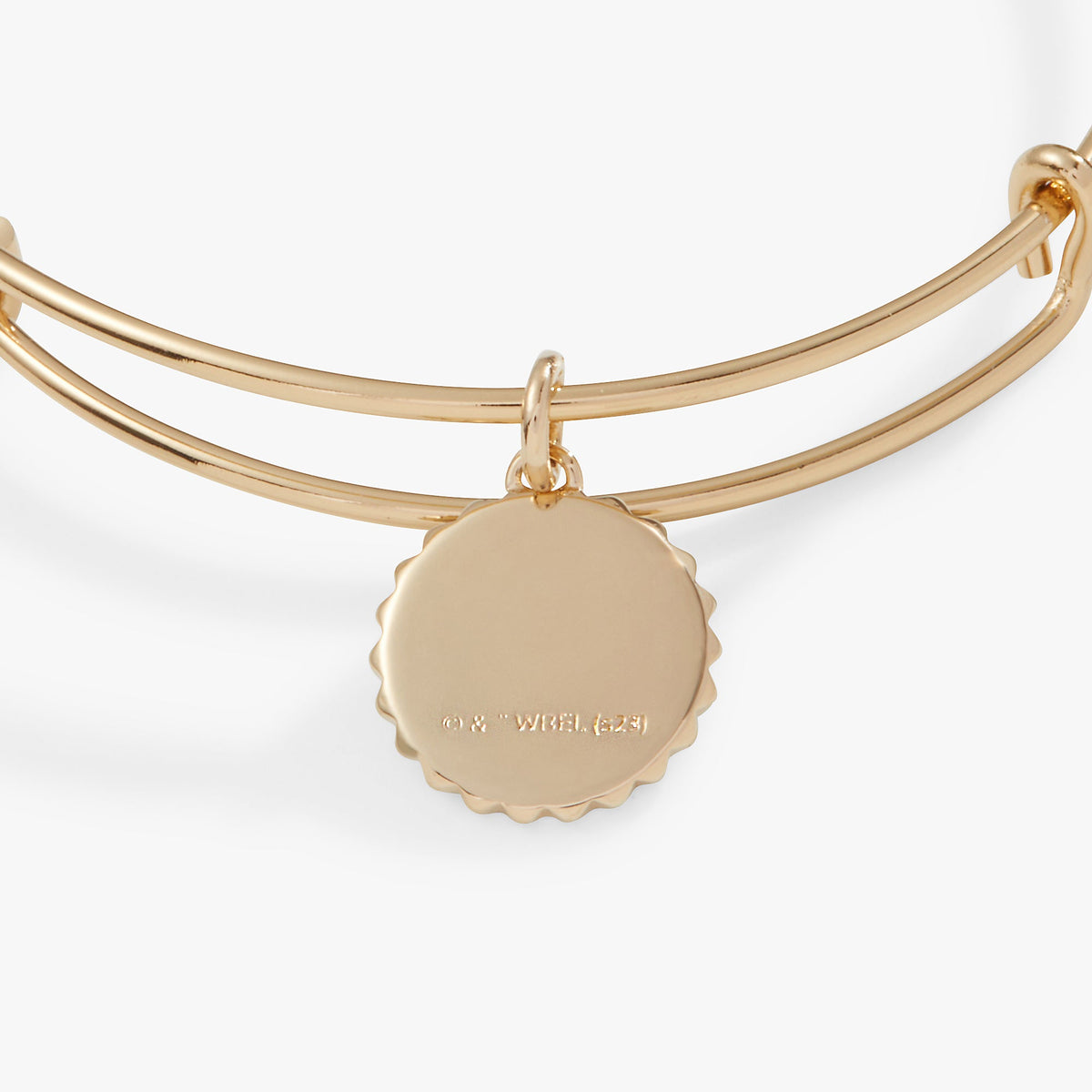 Alex and Ani Harry Potter™ Gryffindor House Charm Bangle
