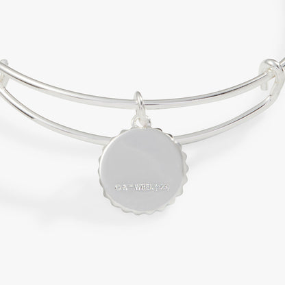 Alex and Ani Harry Potter™ Slytherin House Charm Bangle