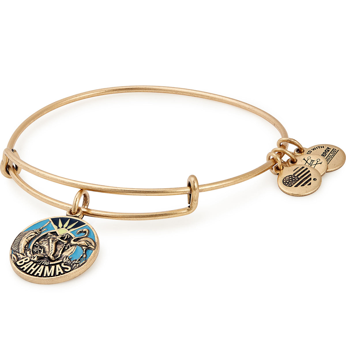 Alex and Ani Bahamas Charm Bangle Bracelet