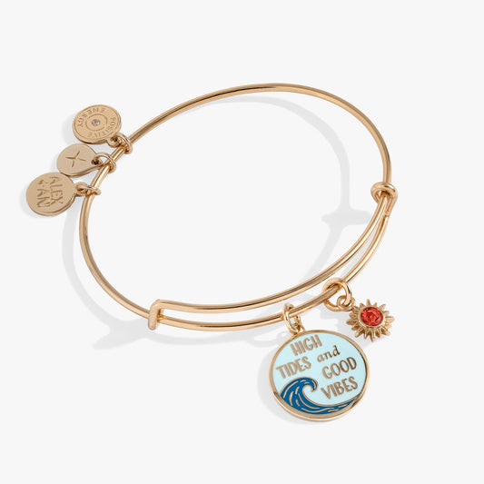 Alex and Ani High Tides Good Vibes Charm Bangle