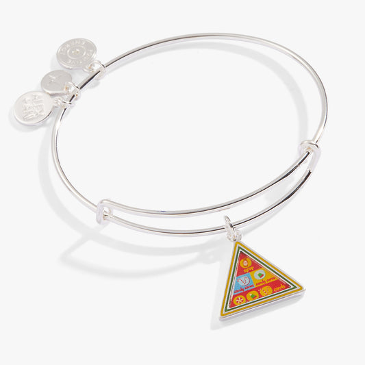 Alex and Ani ELF™ Buddy’s Food Group Bangle