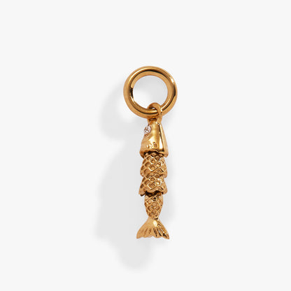 Alex and Ani Fish Interchangeable Charm