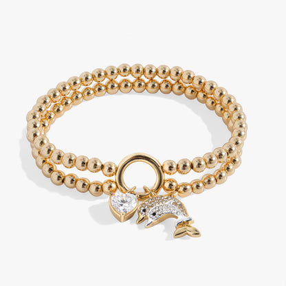 Alex and Ani Dolphin Double Stretch Bracelet