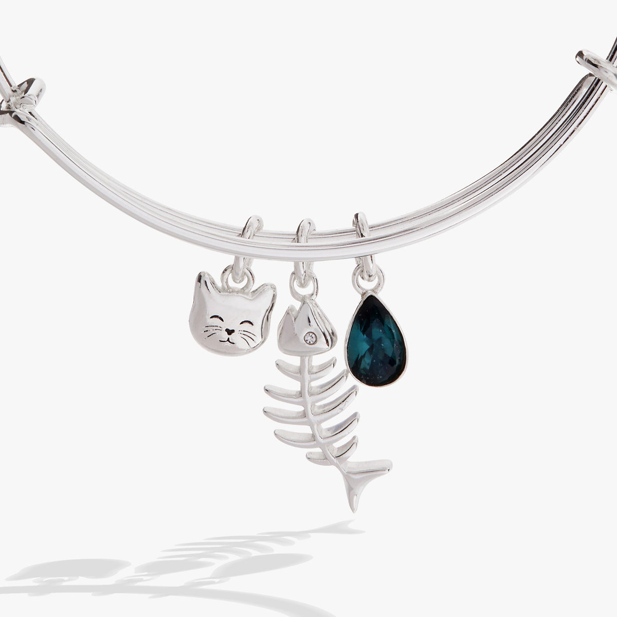 Alex and Ani Fish Bone Cat Bangle