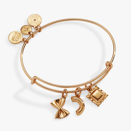Alex and Ani Pasta Multi Charm Bangle