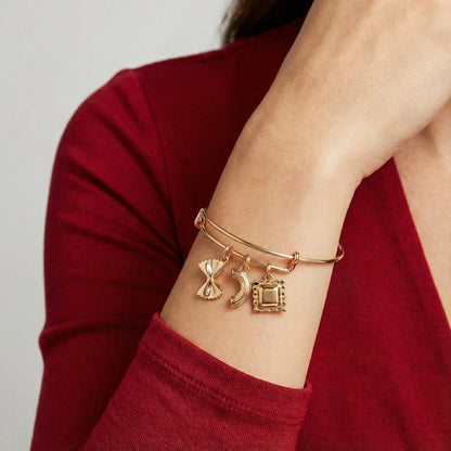 Alex and Ani Pasta Multi Charm Bangle