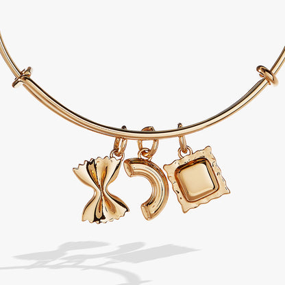 Alex and Ani Pasta Multi Charm Bangle