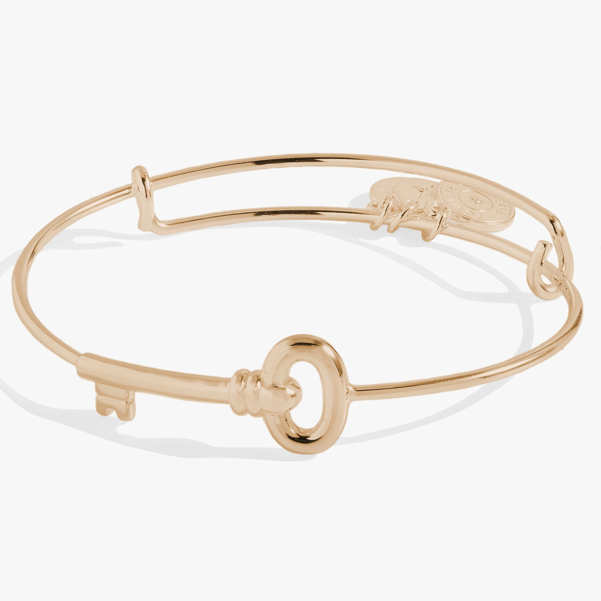 Alex and Ani Key Bangle